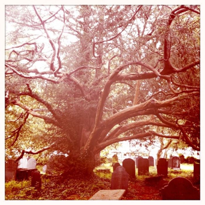 382841_521649021088_1931846623_n